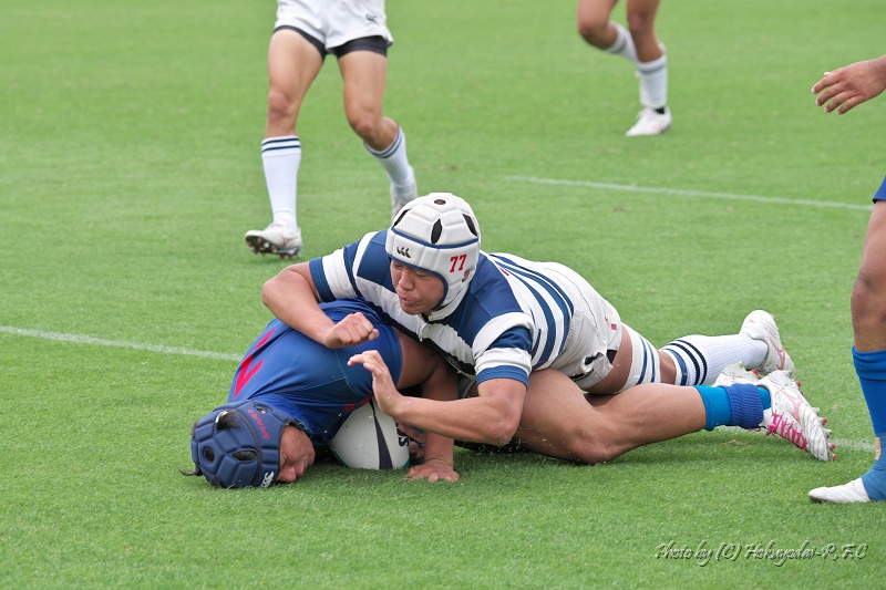 DSC04510.jpg